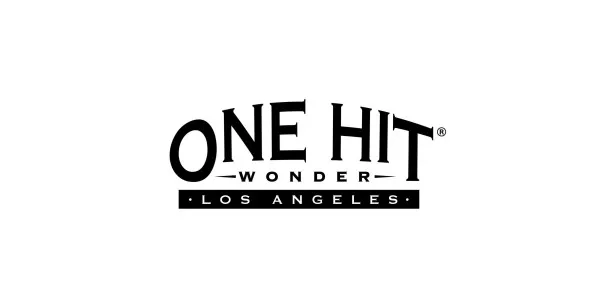 One Hit Wonder One Hit Wonder